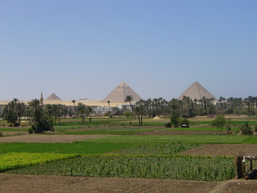 Go to travel (1) エジプト旅行のオススメ3つ